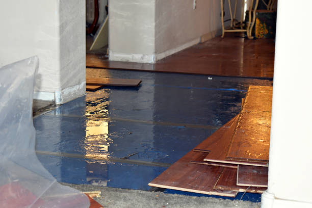 Professional Burst Pipe Cleanup technician working in Cheney, KS